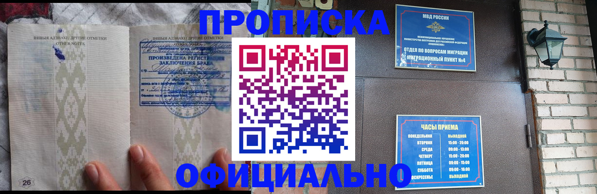 прописка поиск в Железногорске